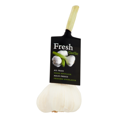 Verse Knoflook