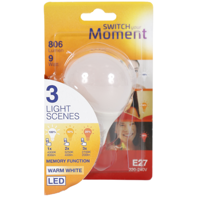 Ledlamp