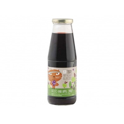 Bio today Siroop appel cassis