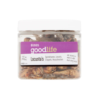 Goodlife Buggs Locusta's Sprinkhanen